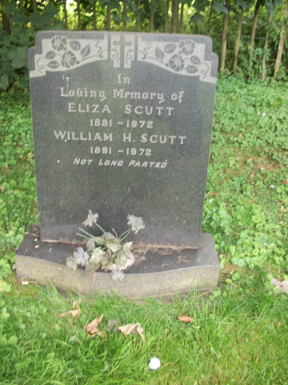 William Henry Scutt